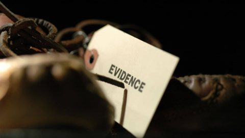 Testimonial Evidence