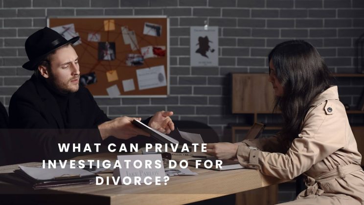 what can private investigators do